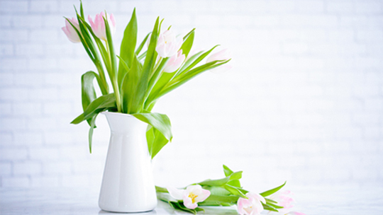 dignissimos ducimus qui blanditiis praesentium voluptatum deleniti